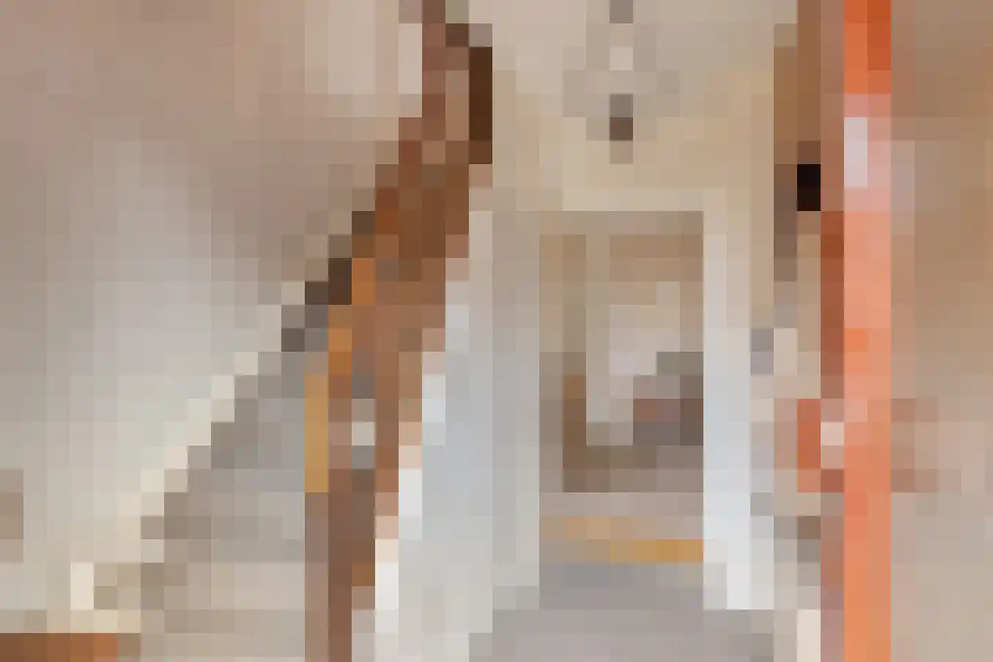 Abbinkstraat 8 Halle thumbnail 8