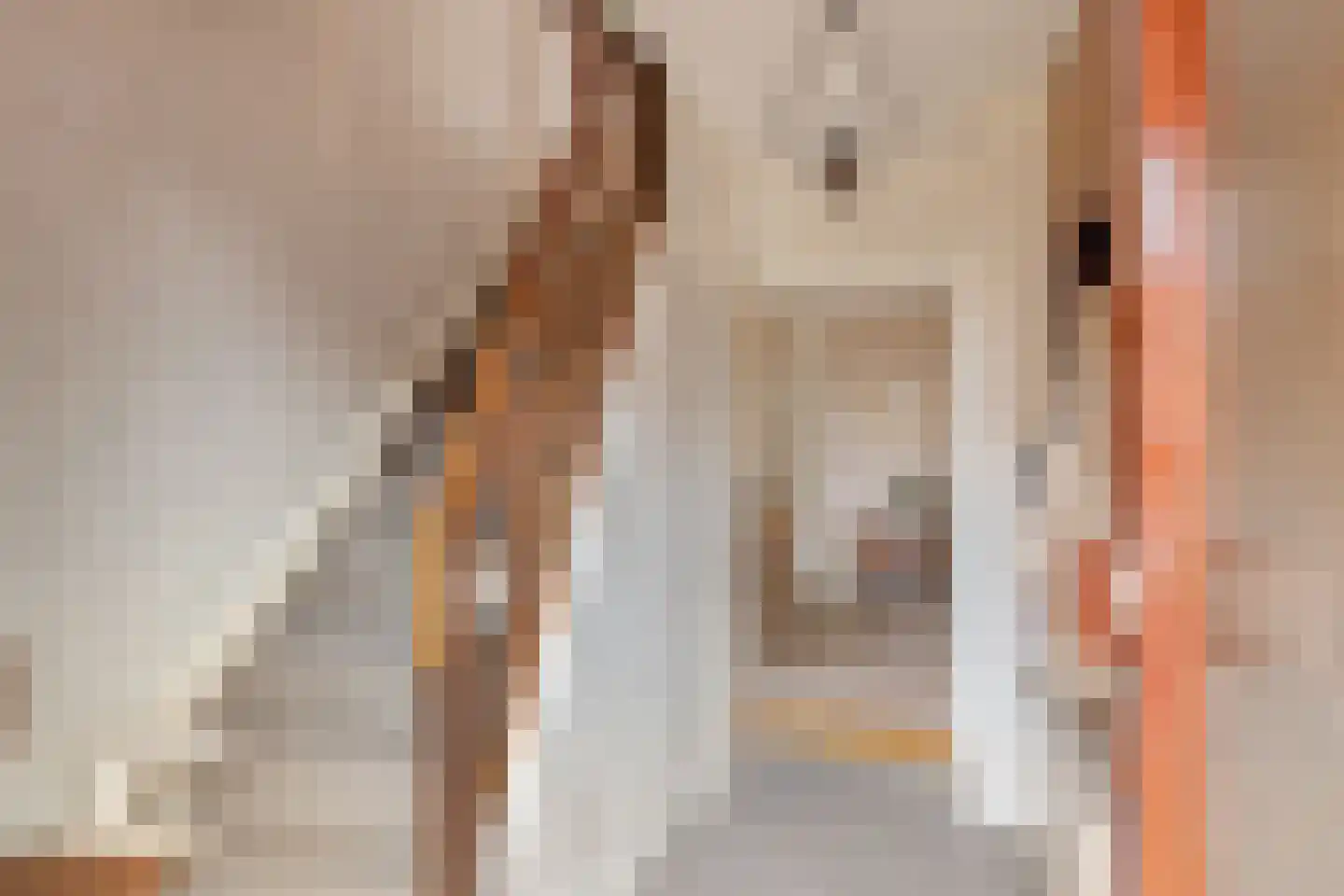Abbinkstraat 8 Halle thumbnail 8