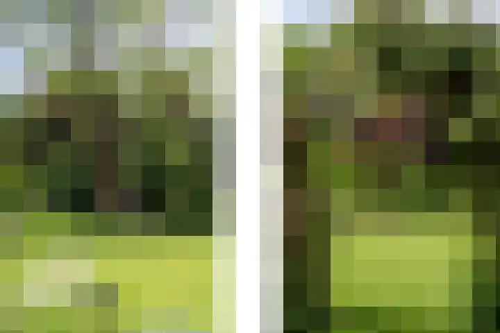 Abbringstraat 70 Purmerend thumbnail 26
