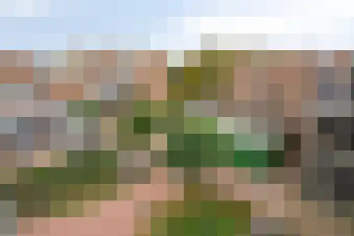 Abcoudehoeve 104 Vlaardingen thumbnail 16