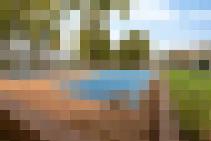 Abcoudehoeve 104 Vlaardingen thumbnail 20