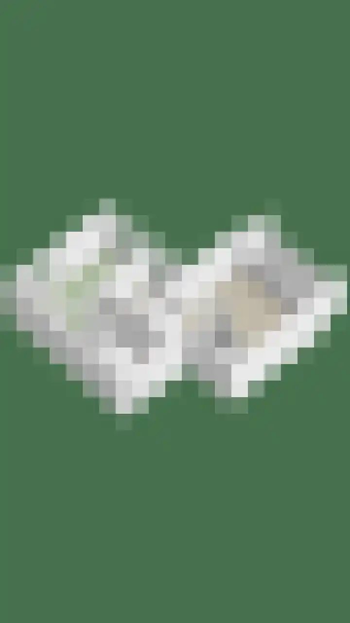 Abcoudehoeve 104 Vlaardingen thumbnail 22