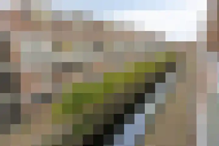 Abcoudehoeve 104 Vlaardingen thumbnail 7