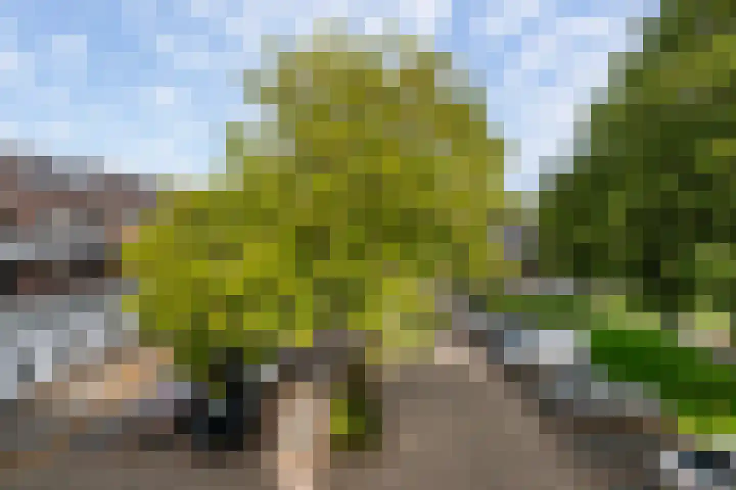 Abcoudehoeve 112 Vlaardingen thumbnail 14