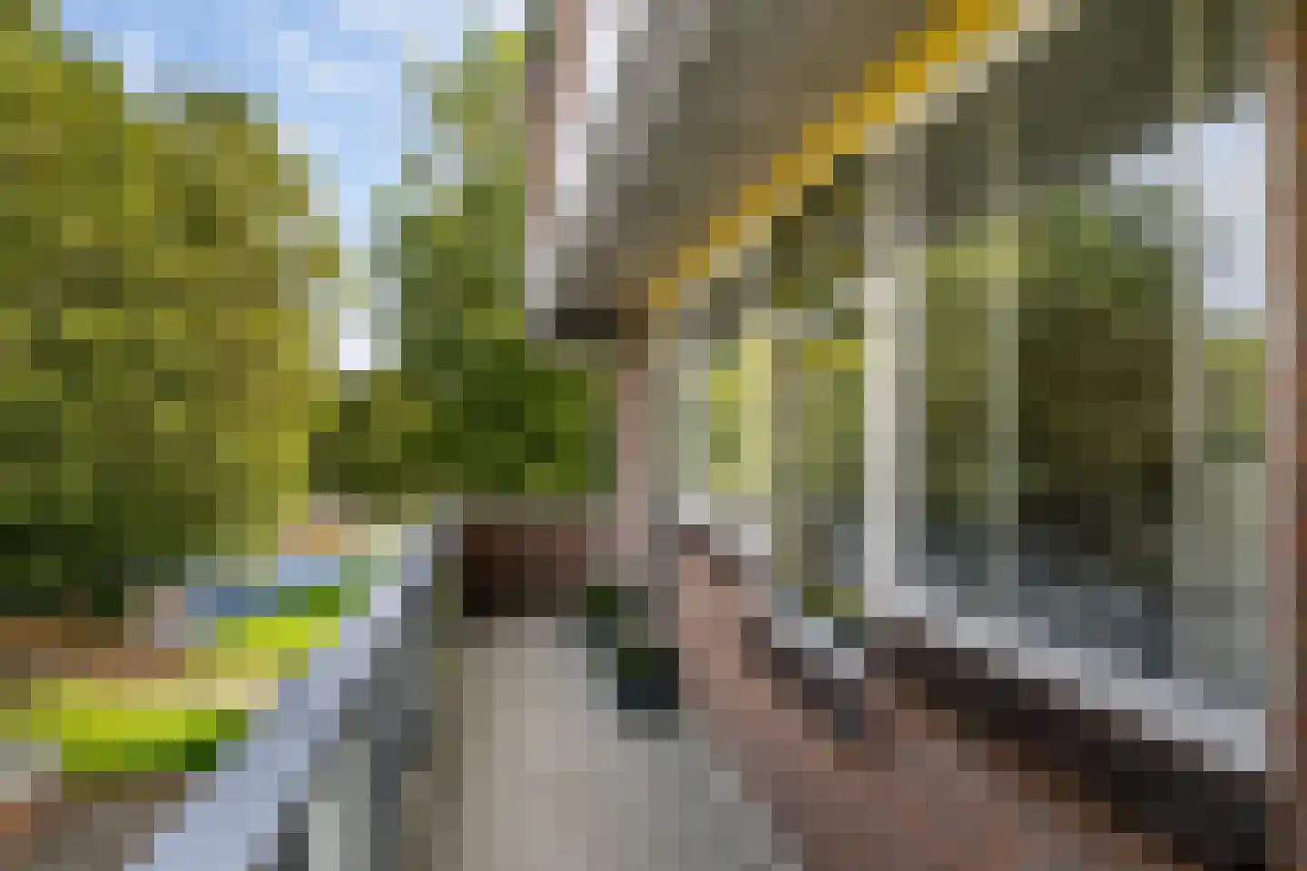 Abcoudehoeve 112 Vlaardingen thumbnail 15