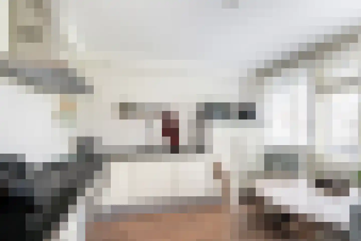 Abcoudehoeve 112 Vlaardingen thumbnail 22