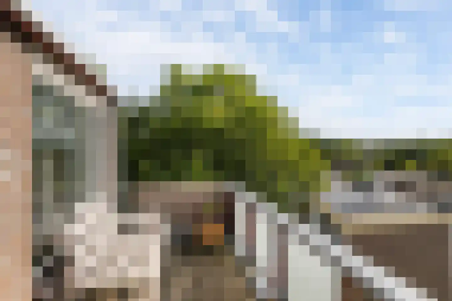 Abcoudehoeve 112 Vlaardingen thumbnail 39