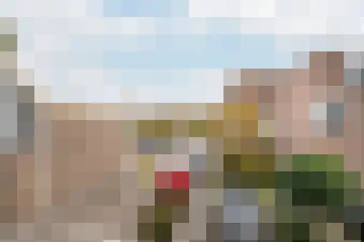 Abcoudehoeve 32 Vlaardingen thumbnail 15
