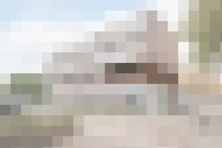 Abcoudehoeve 32 Vlaardingen thumbnail 4