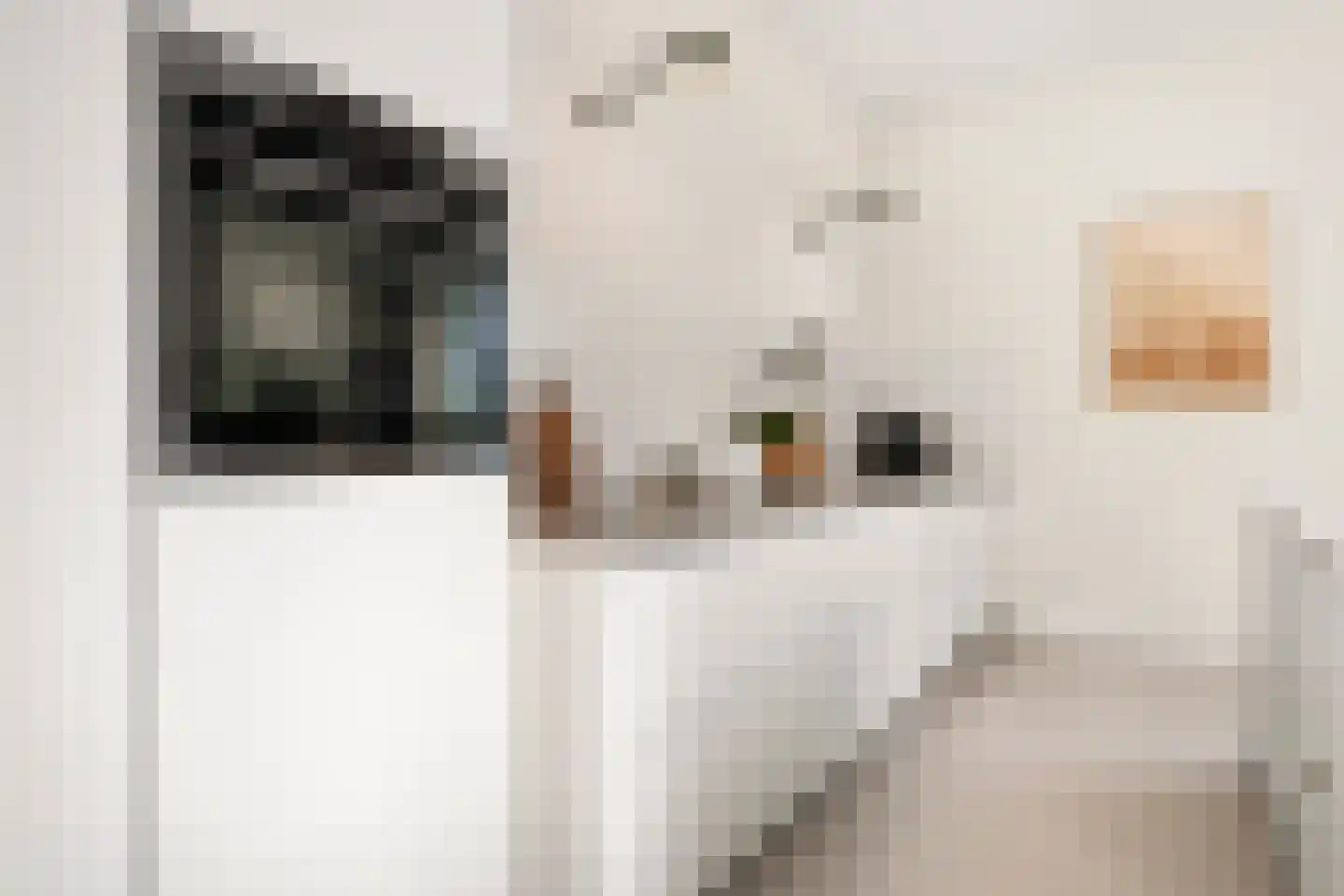 Abcoudepad 8 Weesp thumbnail 10