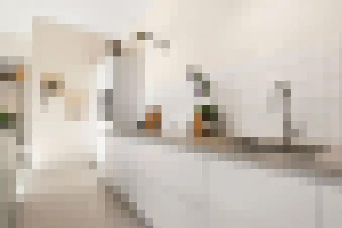 Abcoudepad 8 Weesp thumbnail 12