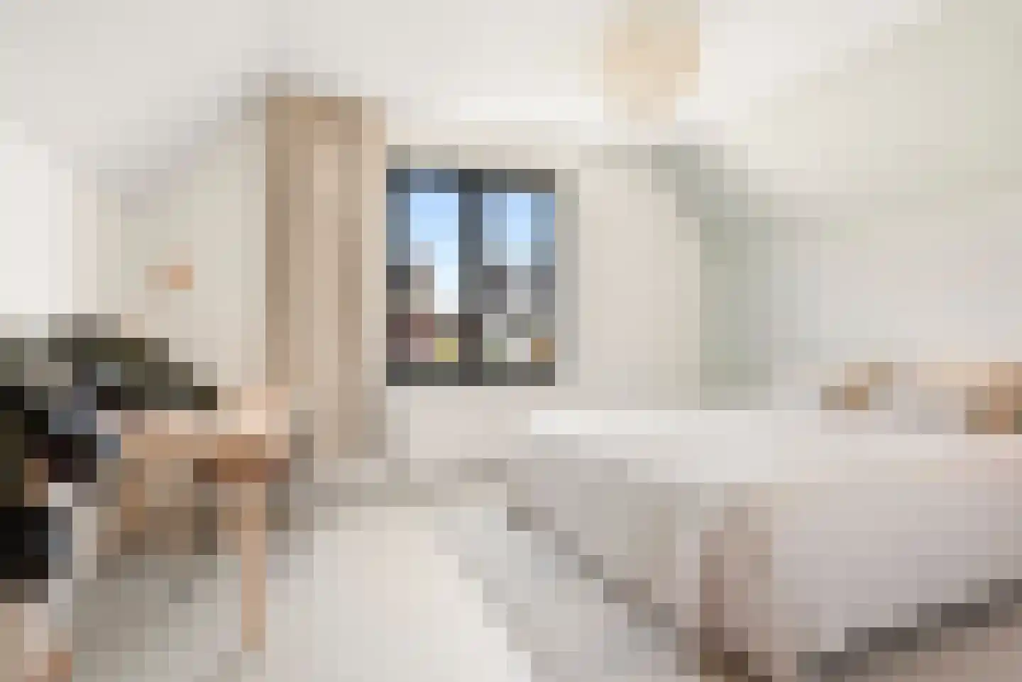 Abcoudepad 8 Weesp thumbnail 19