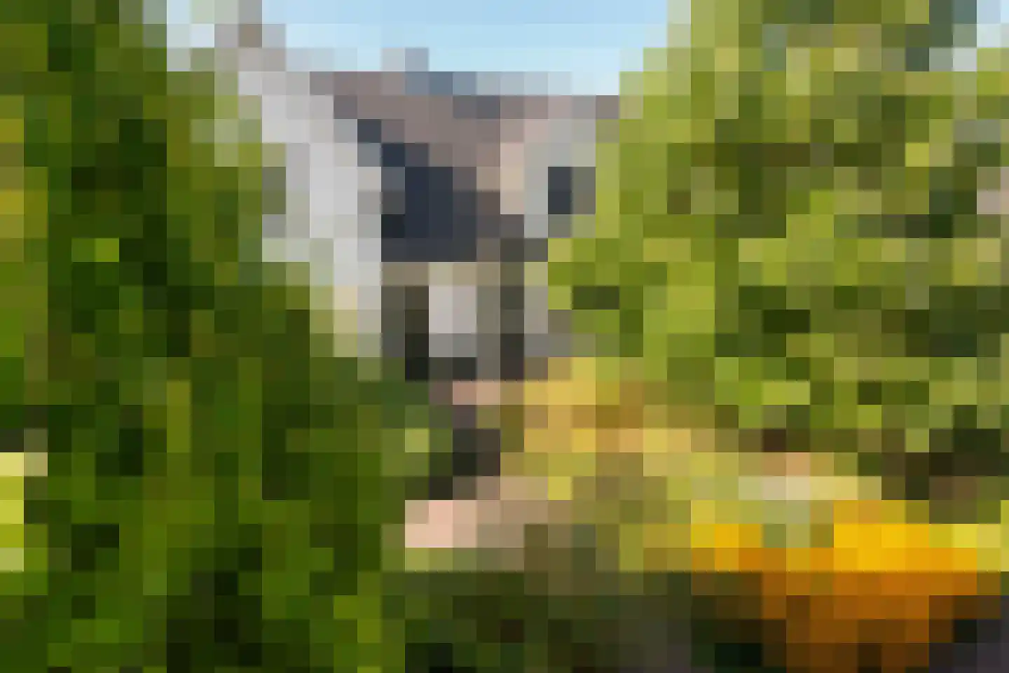 Abcoudepad 8 Weesp thumbnail 23