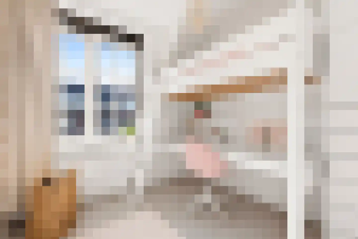 Abcoudepad 8 Weesp thumbnail 24