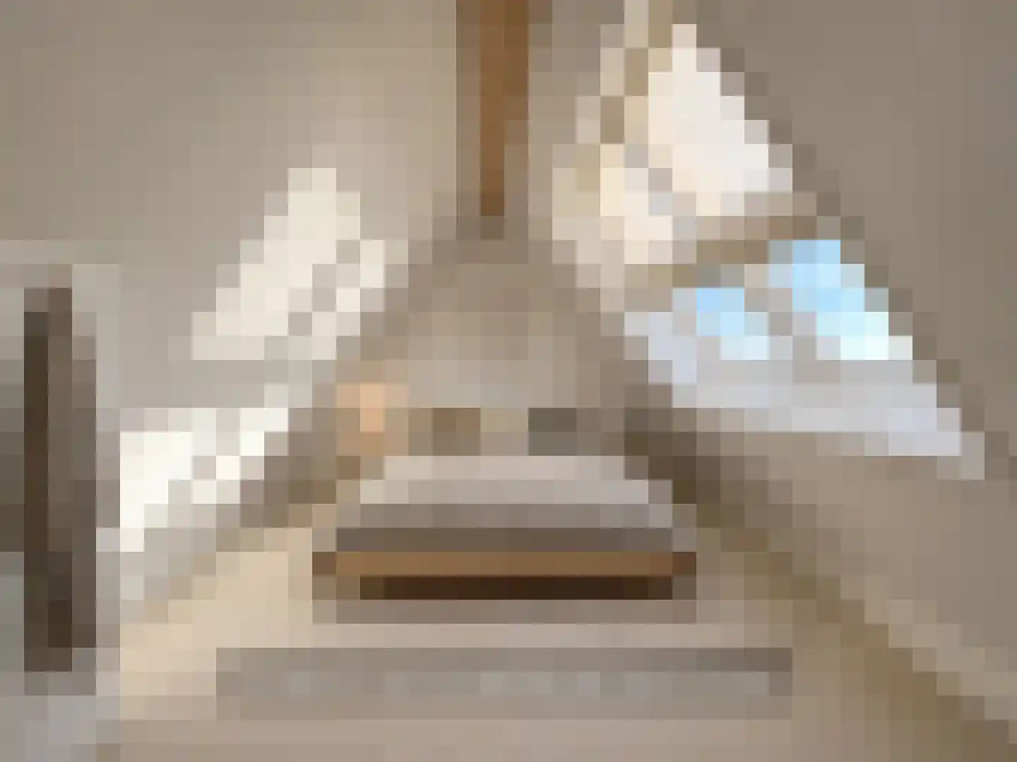 Abcoudepad 8 Weesp thumbnail 29