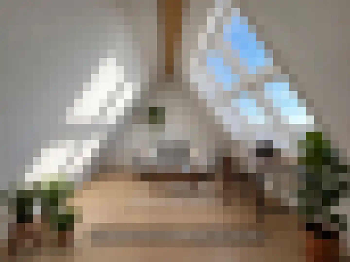 Abcoudepad 8 Weesp thumbnail 30