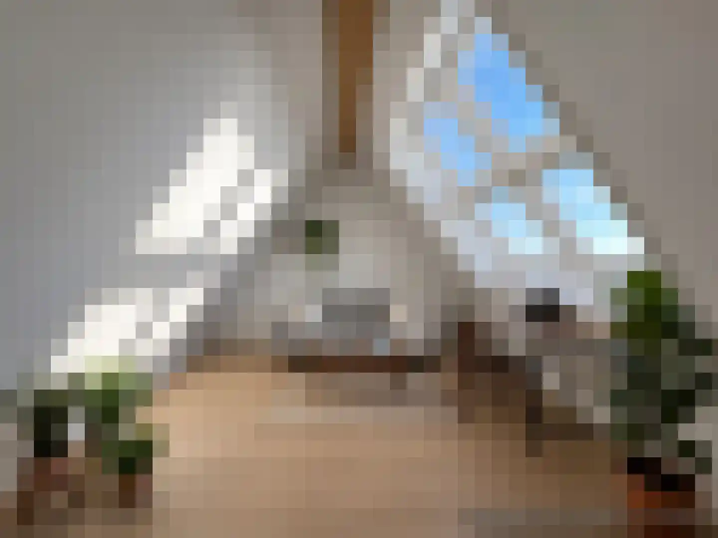 Abcoudepad 8 Weesp thumbnail 30