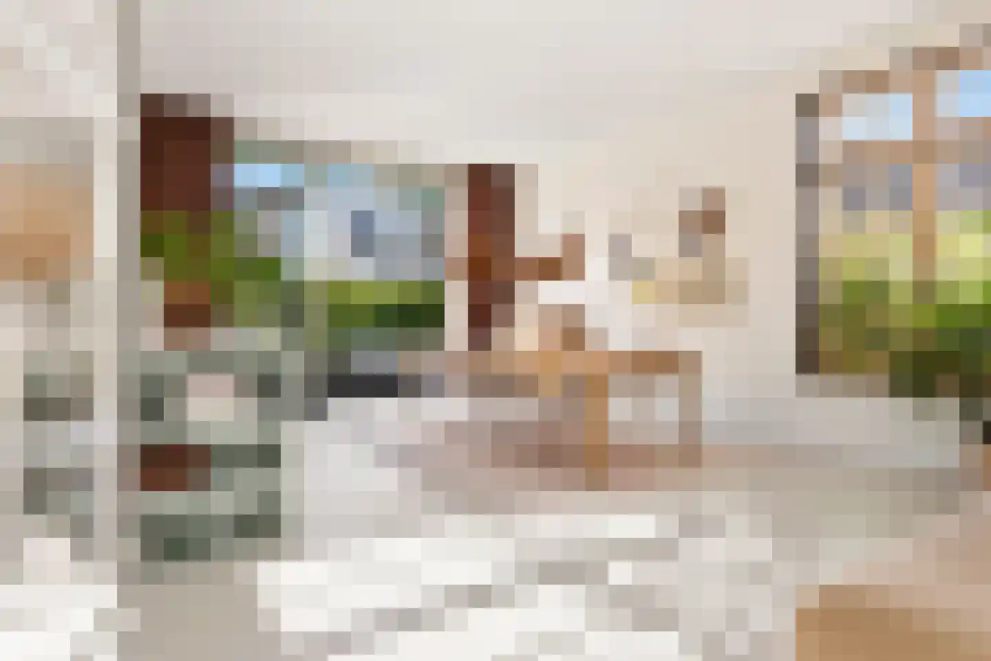 Abcoudepad 8 Weesp thumbnail 6