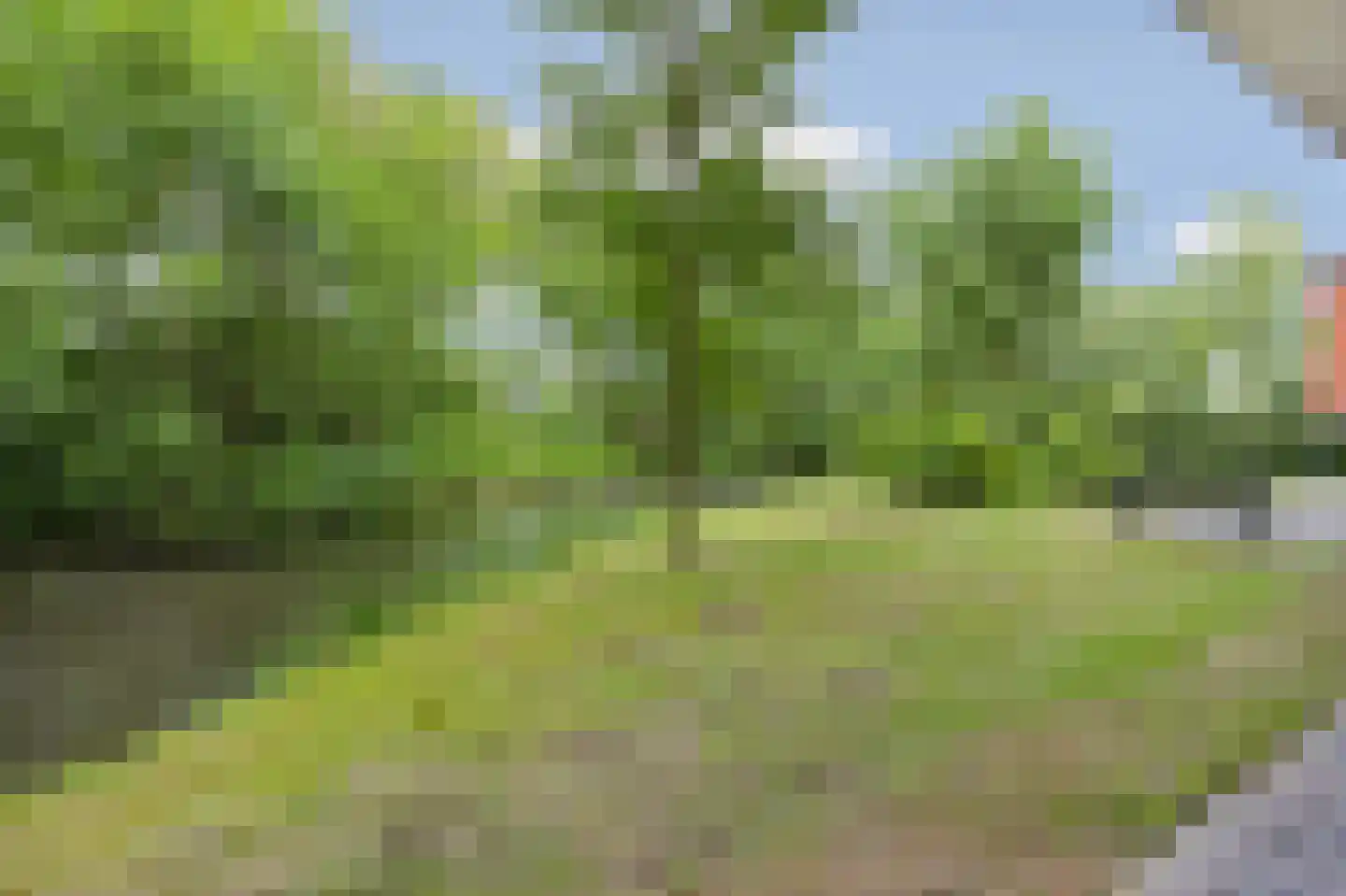 Abcoudermeer 11 Abcoude thumbnail 45