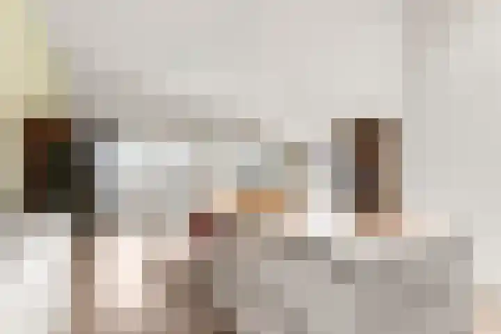 Abcoudermeer 15 Abcoude thumbnail 11