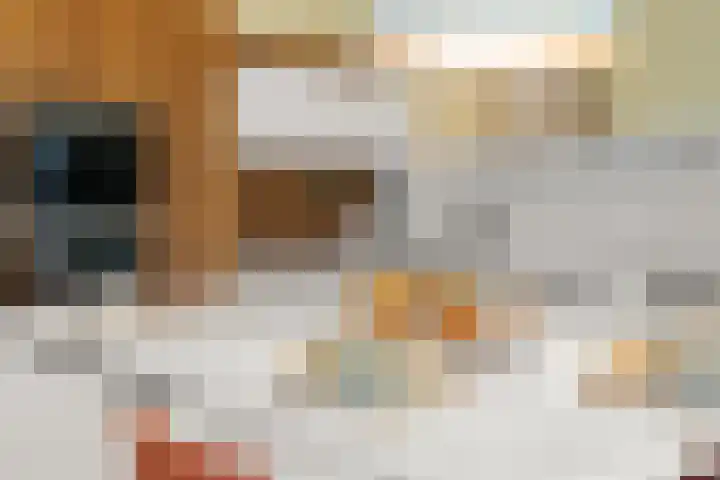 Abcoudermeer 15 Abcoude thumbnail 12