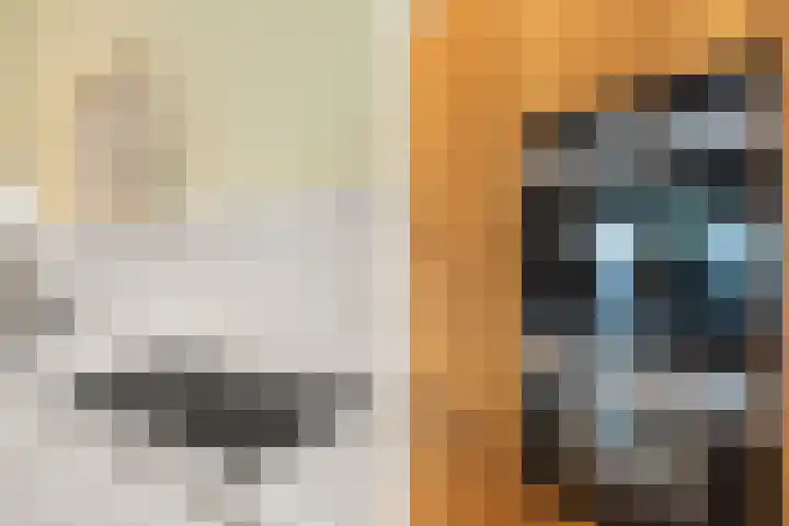 Abcoudermeer 15 Abcoude thumbnail 13