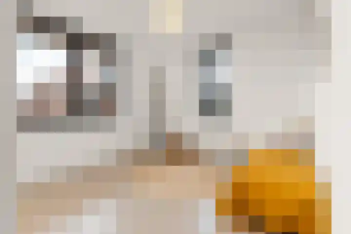 Abcoudermeer 15 Abcoude thumbnail 21