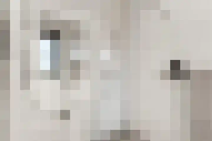 Abcoudermeer 15 Abcoude thumbnail 24