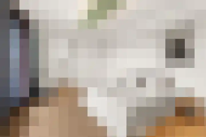 Abcoudermeer 15 Abcoude thumbnail 26