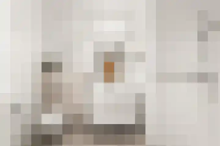 Abcoudermeer 15 Abcoude thumbnail 27
