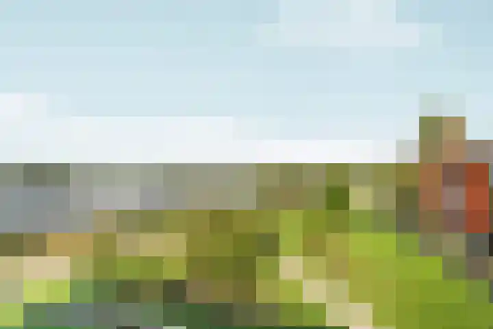 Abcoudermeer 15 Abcoude thumbnail 37
