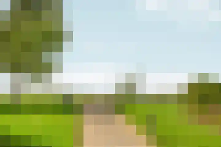 Abcoudermeer 15 Abcoude thumbnail 38