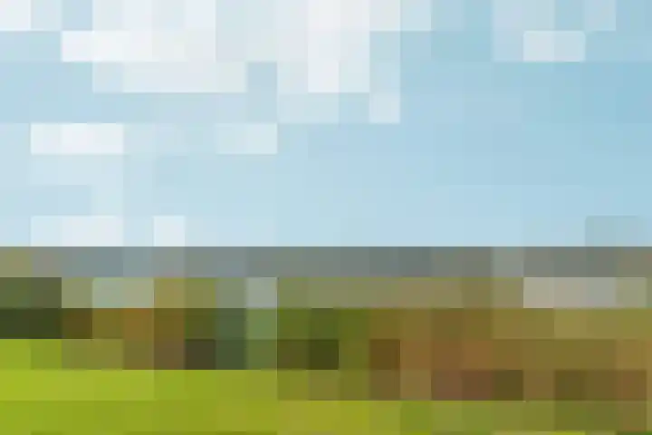 Abcoudermeer 15 Abcoude thumbnail 39