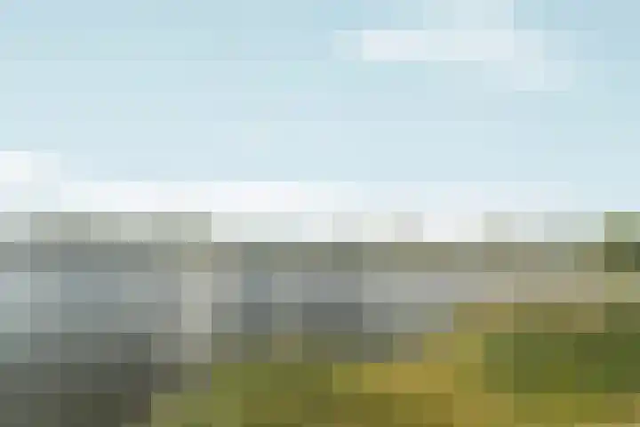 Abcoudermeer 15 Abcoude thumbnail 40