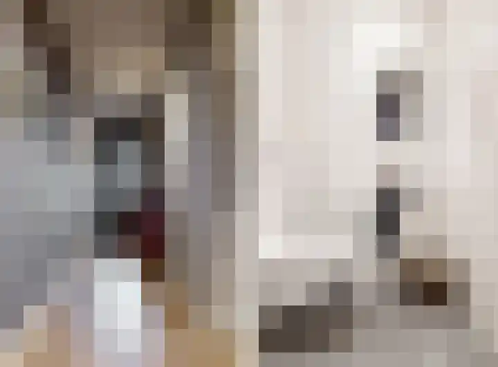 Abcoudermeer 33 Abcoude thumbnail 13