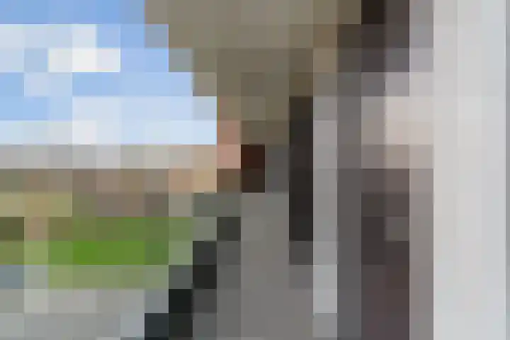 Abcoudermeer 33 Abcoude thumbnail 27