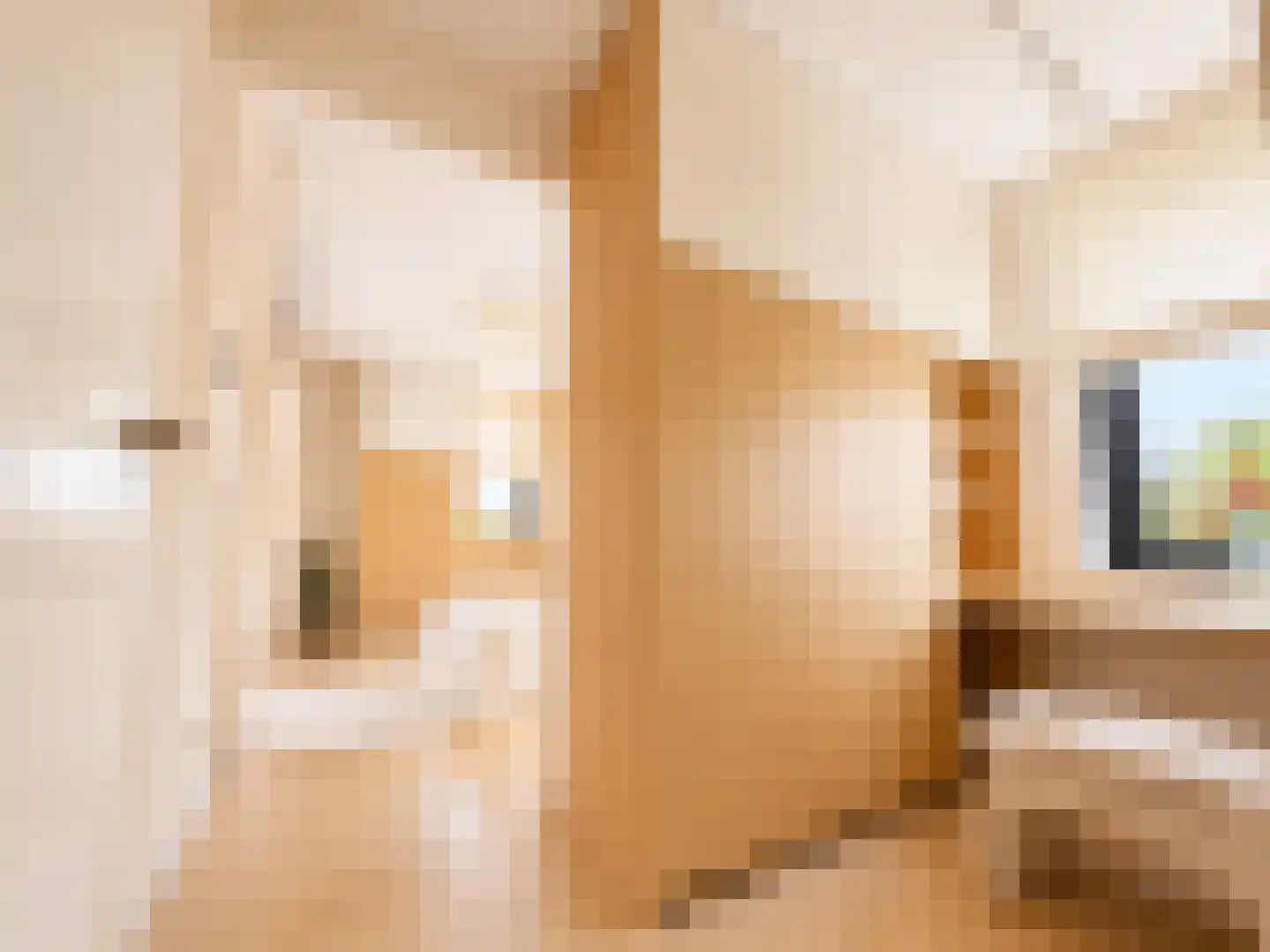Abcoudermeer 43 Abcoude thumbnail 18