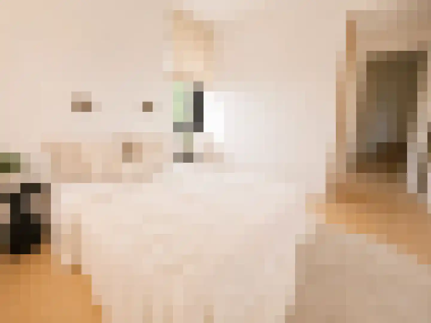 Abcoudermeer 43 Abcoude thumbnail 19