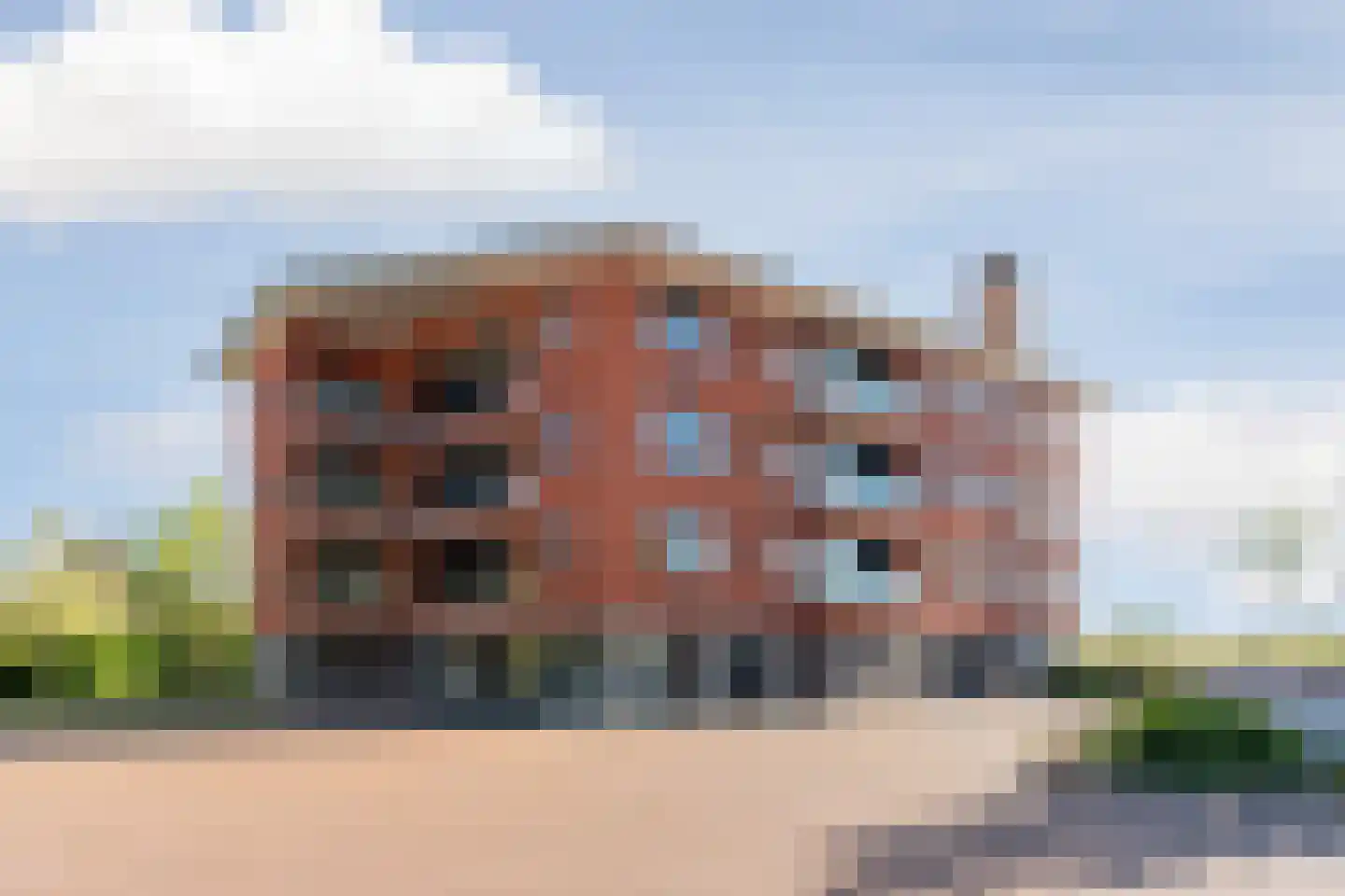 Abcoudermeer 43 Abcoude thumbnail 31