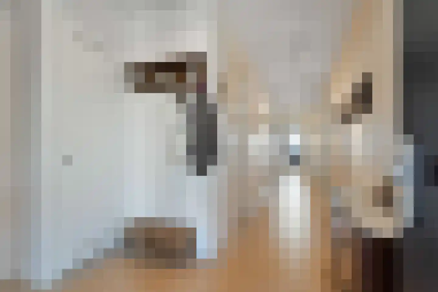 Abcoudermeer 43 Abcoude thumbnail 8