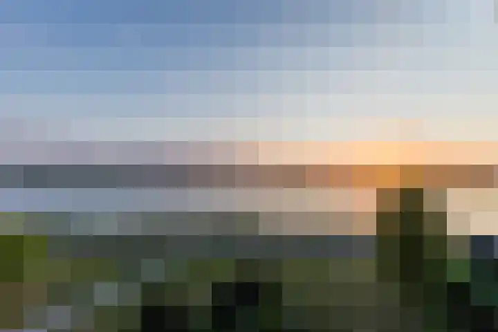 Abcoudermeer 9 Abcoude thumbnail 21