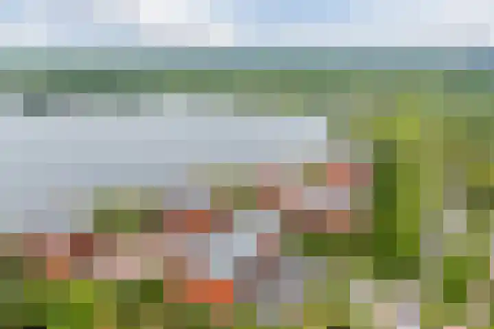 Abcoudermeer 9 Abcoude thumbnail 46