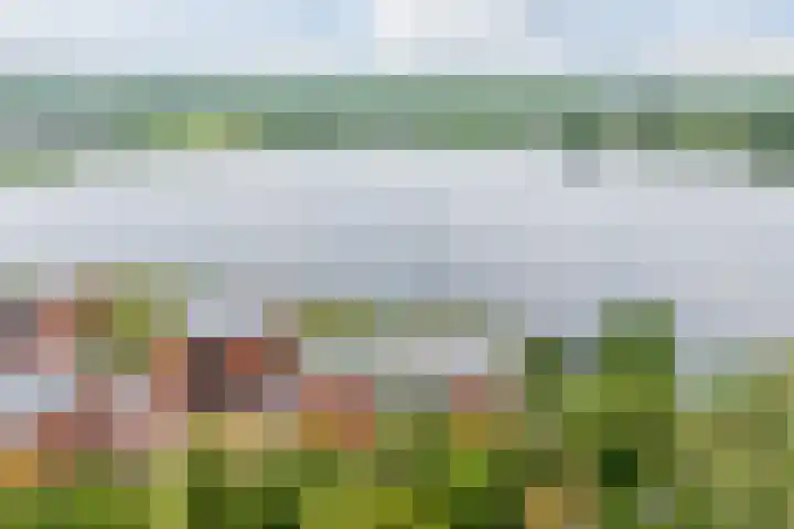 Abcoudermeer 9 Abcoude thumbnail 47