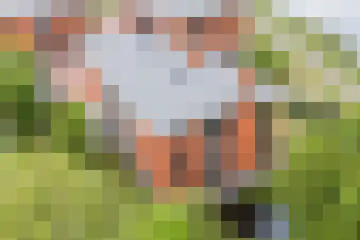 Abcoudermeer 9 Abcoude thumbnail 48