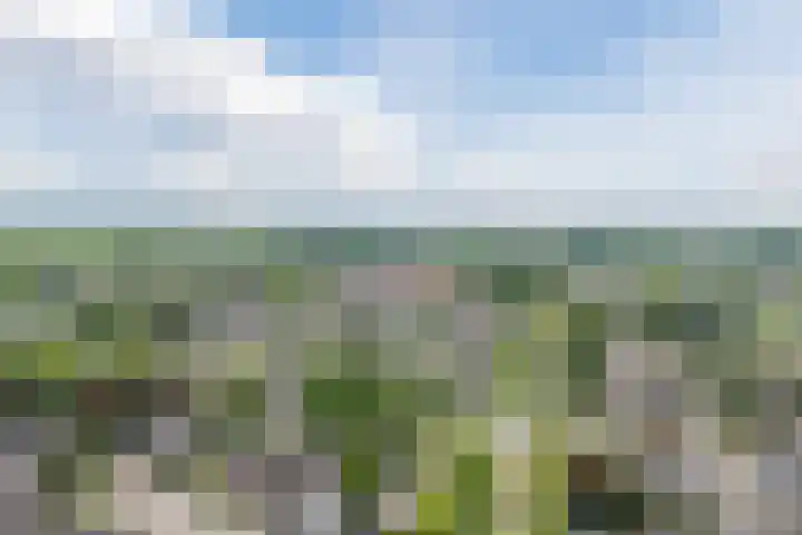 Abcoudermeer 9 Abcoude thumbnail 52