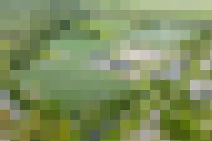 Abcoudermeer 9 Abcoude thumbnail 53