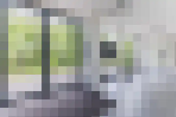Abcoudermeer 9 Abcoude thumbnail 7