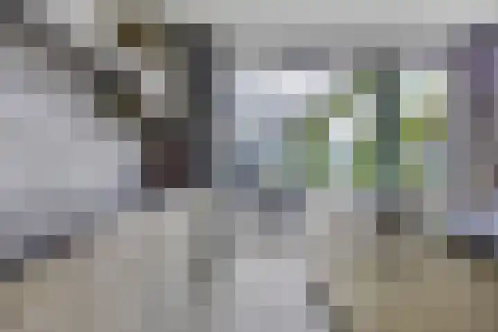 Abcoudestraat 28 Tilburg thumbnail 13
