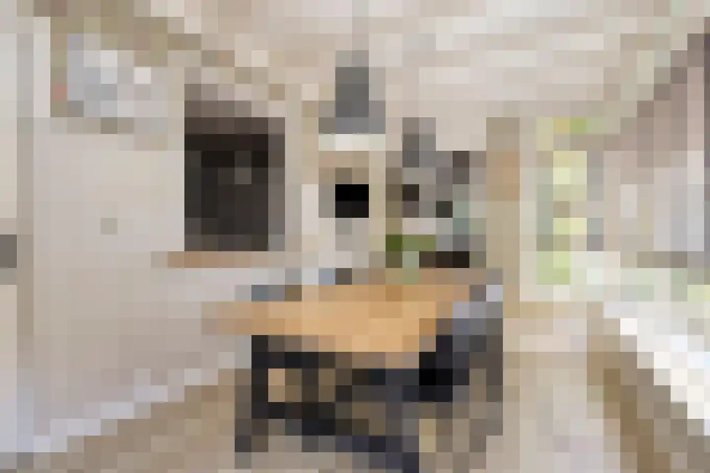 Abcovenseweg 30 Goirle thumbnail 11