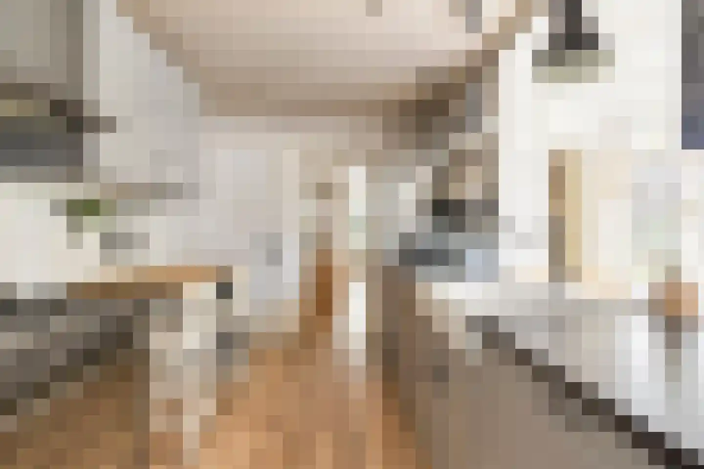 Abcovenseweg 30 Goirle thumbnail 14